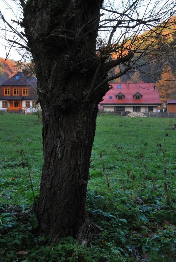 Pokoje Goscinne U Grazyny Ojcow Exterior photo